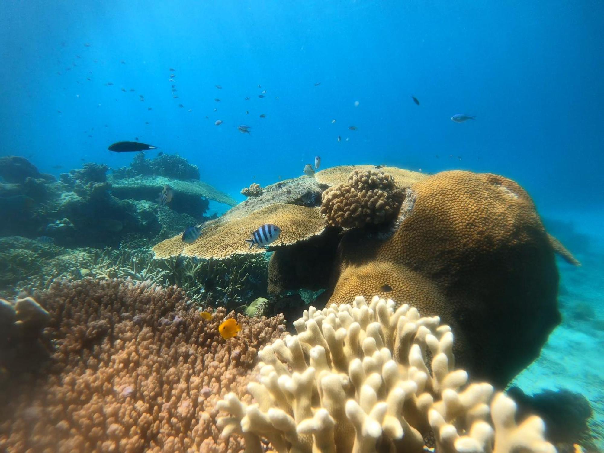 Natuna Dive Resort ราไน ภายนอก รูปภาพ